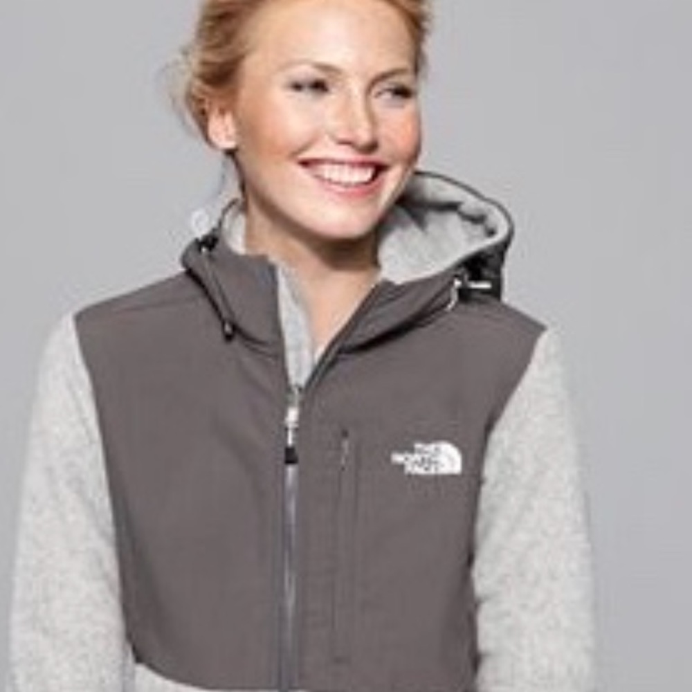 NWT THE NORTH FACE DENALI HOODIE SIZE LARGE - Picture 2 of 3